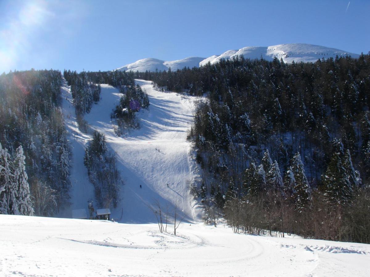 Hotel Du Col De La Machine Saint-Jean-en-Royans Exteriér fotografie